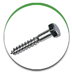 Coach screws / Lag screw