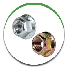 Flange Lock Nut