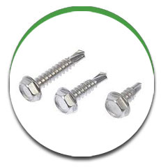 Self Tapping Screw