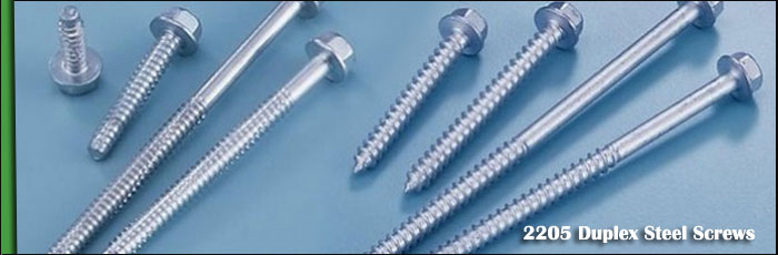 2205 Duplex Steel Screws inventory at our Vasai, Mumbai Factory