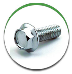 Flange Bolt