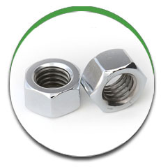 Hex Nuts