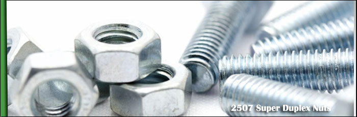 2507 Super Duplex Steel Nuts Stock at our Vasai, Mumbai Factory