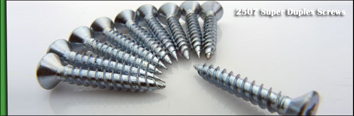 2507 Super Duplex Steel Screws at our Vasai, Mumbai Factory